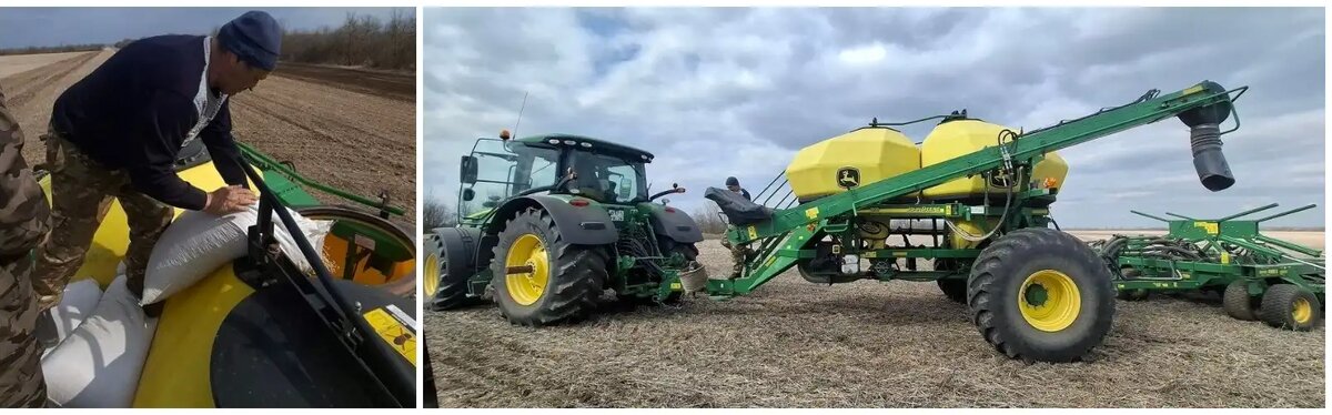 В России завершаются госиспытания нового сорта посевного гороха ГАЛС (источник: Telegram-канал Агролига России)