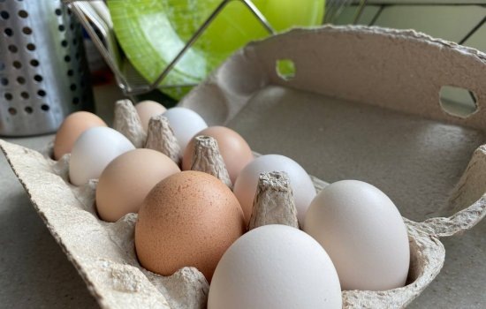    Фото: ИА «Орелград»