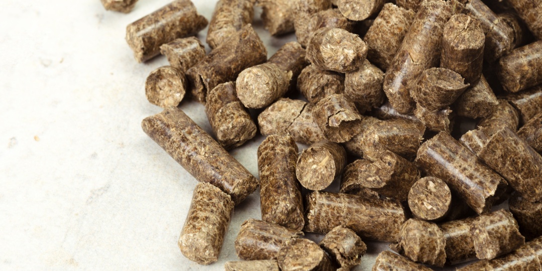 «Донбиотех» к 2029 году намерен начать выпуск треонина, триптофана и валина