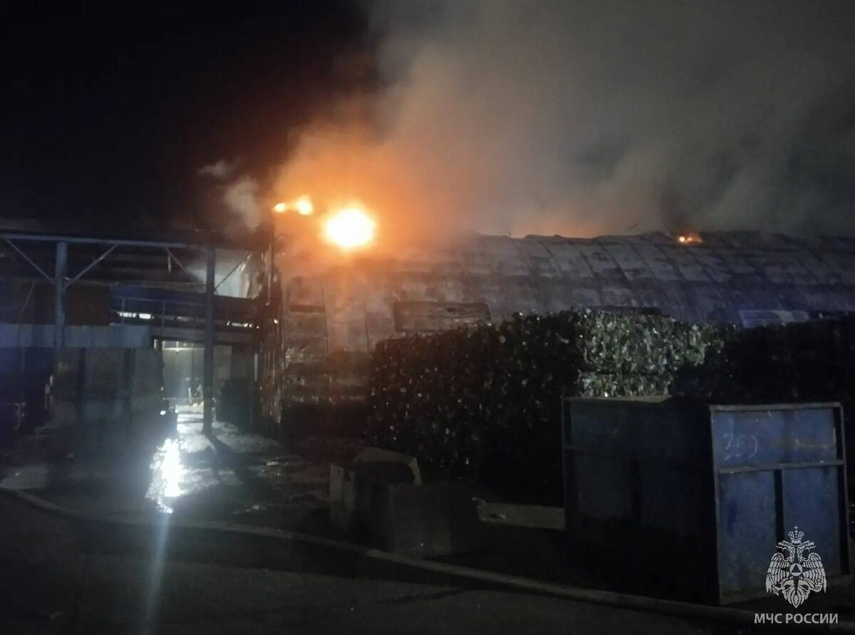 ГУ МЧС России по РТ