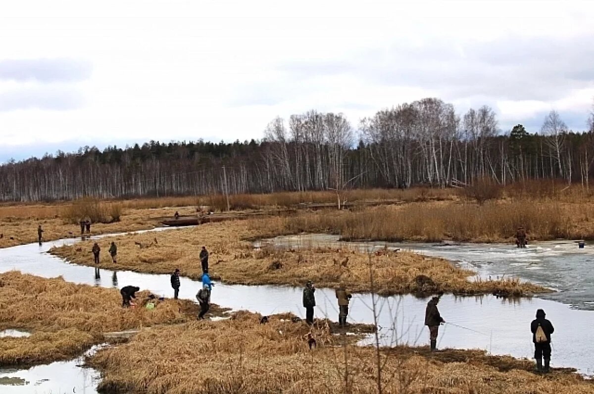    В Свердловской области с 25 апреля введут запрет на рыбалку из-за нереста