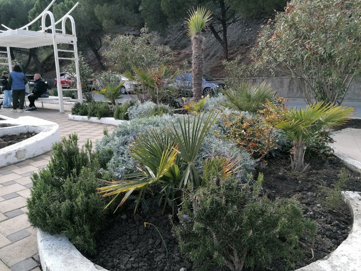 Островки ландшафтного дизайна и беседки для отдыхающих создают уютное настроение. 