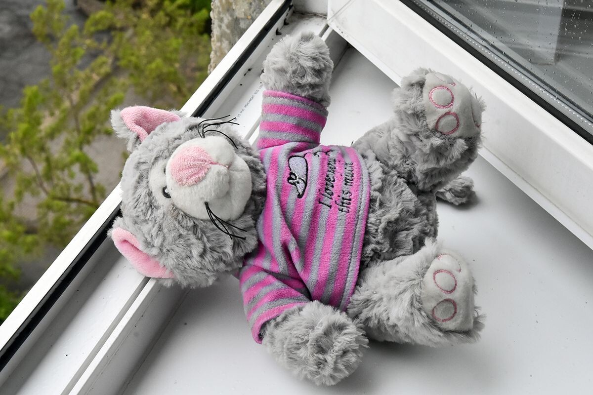 Фото: ИА "Регион 71"