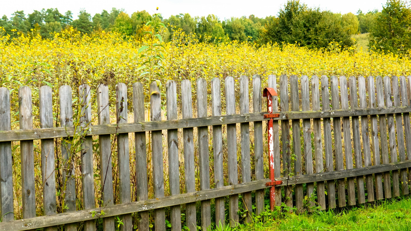    Изображение от wirestock на Freepik