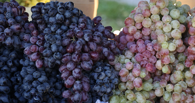  Фото: Юлия Боровикова («Вечерний Челябинск»)