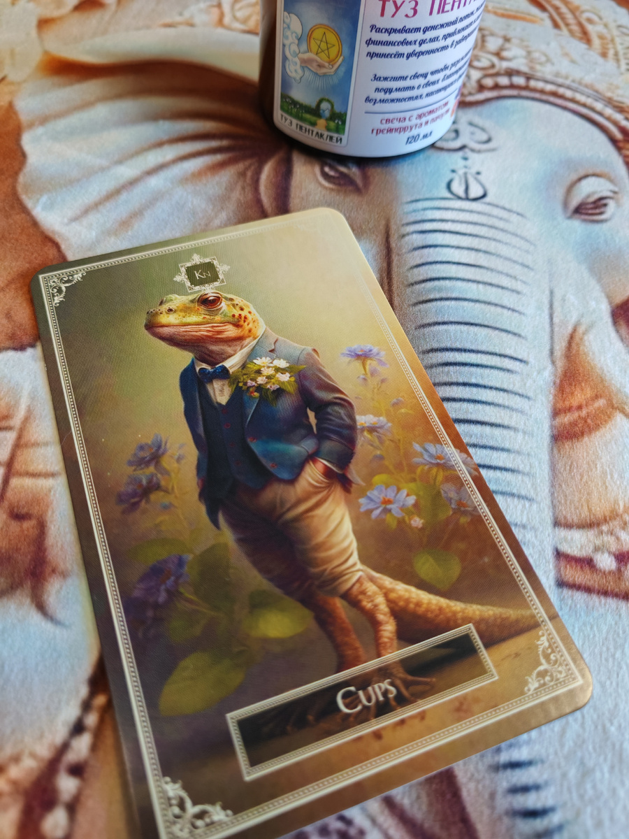 Рыцарь Кубков