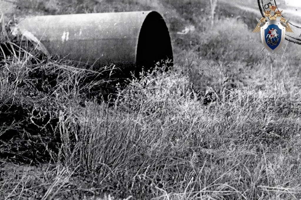    В Домбаровском районе спустя 23 года раскрыли убийство Оренбуржье