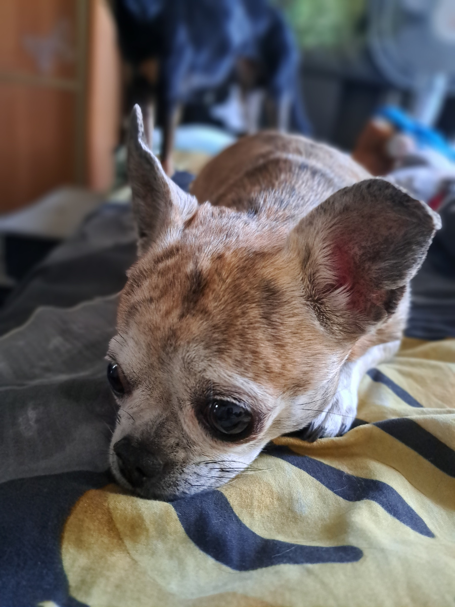 фото из личного архива