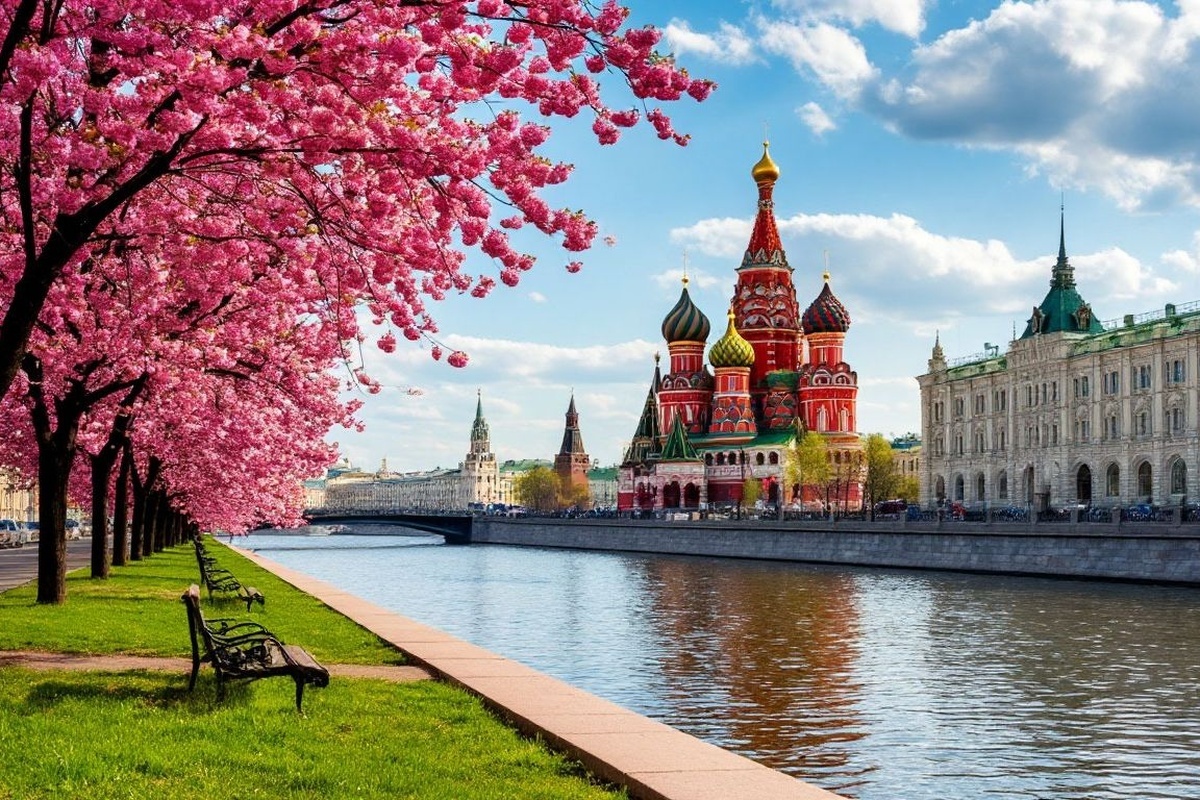    Фото: коллаж RuNews24.ru