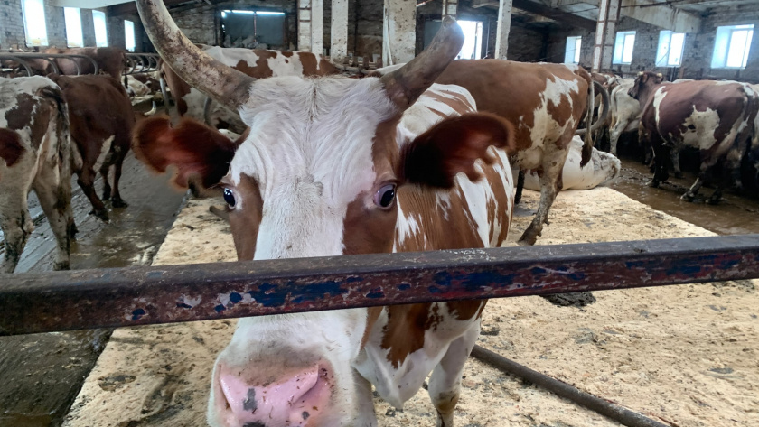    Фотоархив редакции