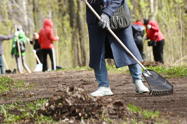Кирилл Каллиников/РИА Новости   📷