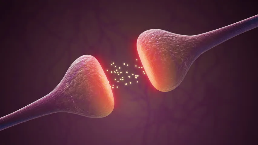 Как закон Хэбба улучшает осанку, снижает боль в суставах и многое другое