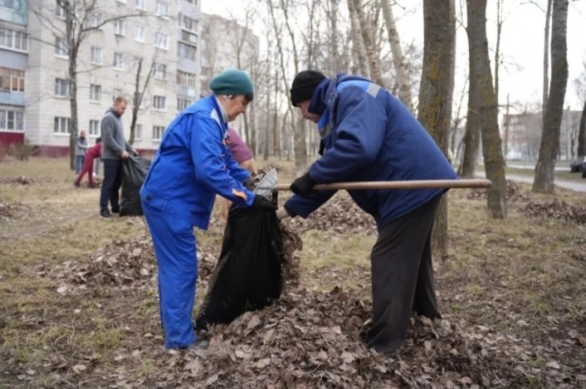    Первый весенний субботник пройдёт в Ульяновске 4 апреля