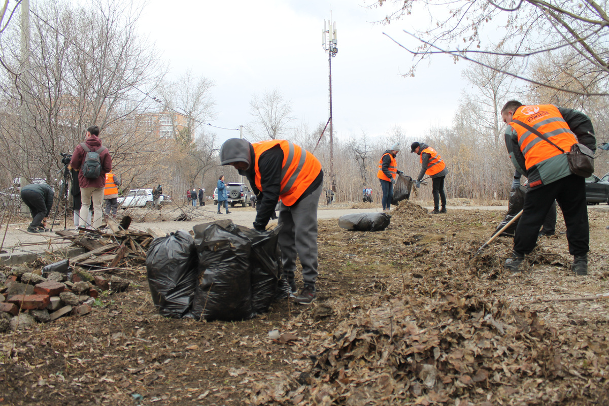 Фото Артема Илошваи, dzen.ru