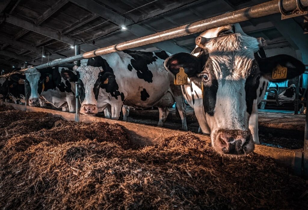    Фото: vk.com/dariprivop