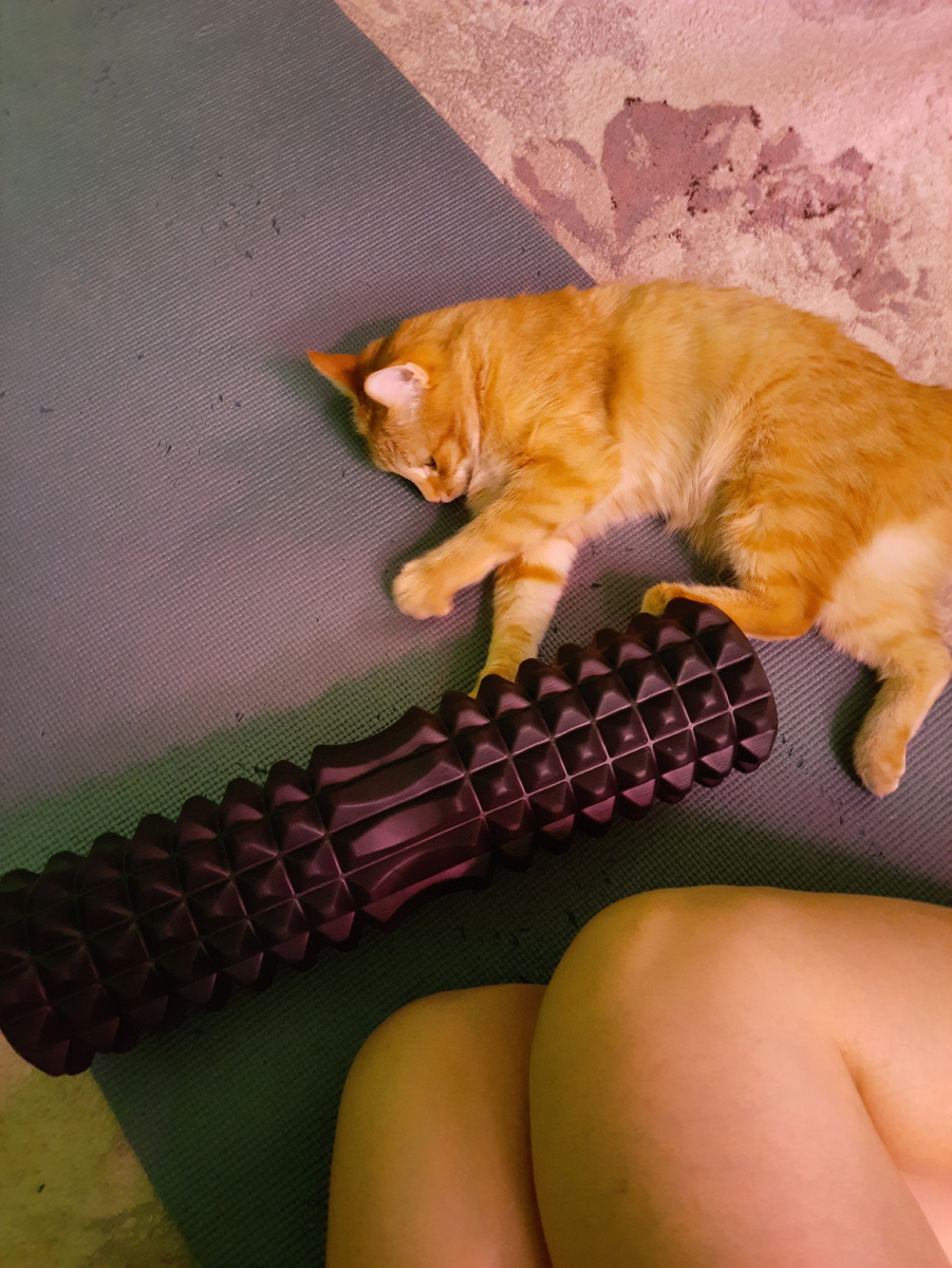 Котик тоже зарядку делает))