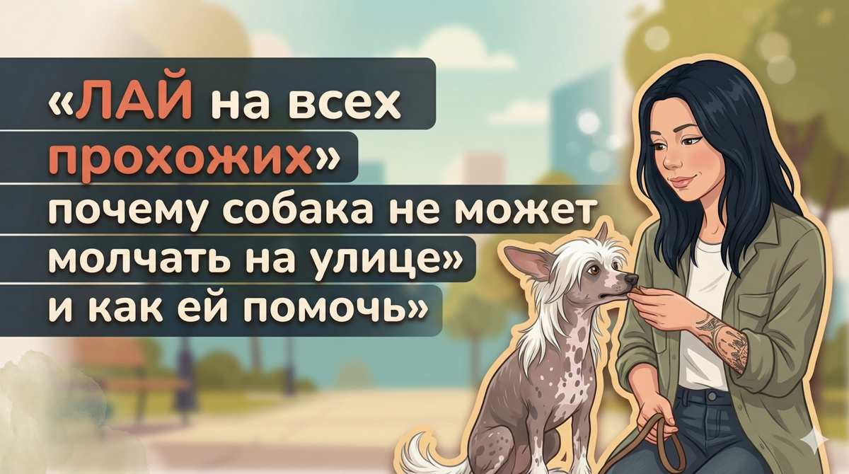    Анна объясняет мягкий подход к лаю собаки на прохожих на прогулках. Анна Марковская