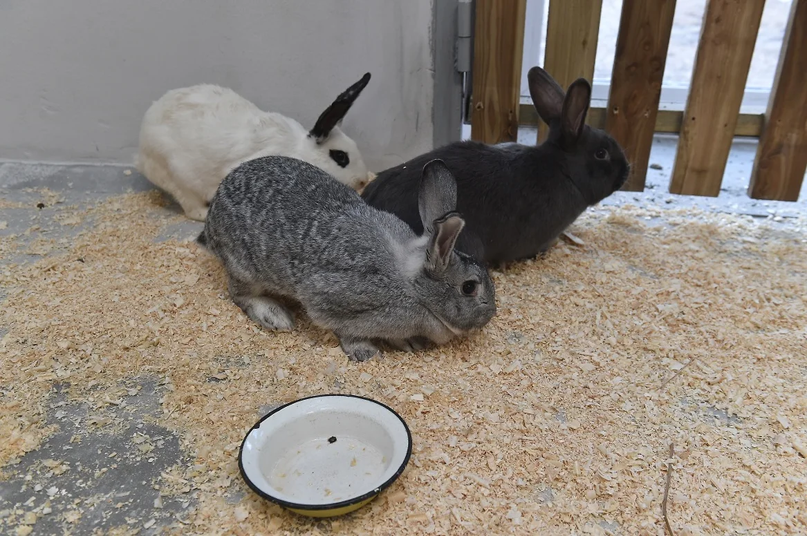    Фото: правительство Пермского края