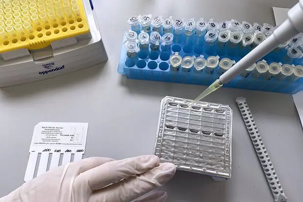    Источник: lenta.ru/ Евгения Суворова