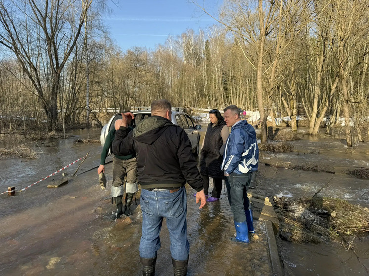     Фото: Николай Калиничев/ТГ