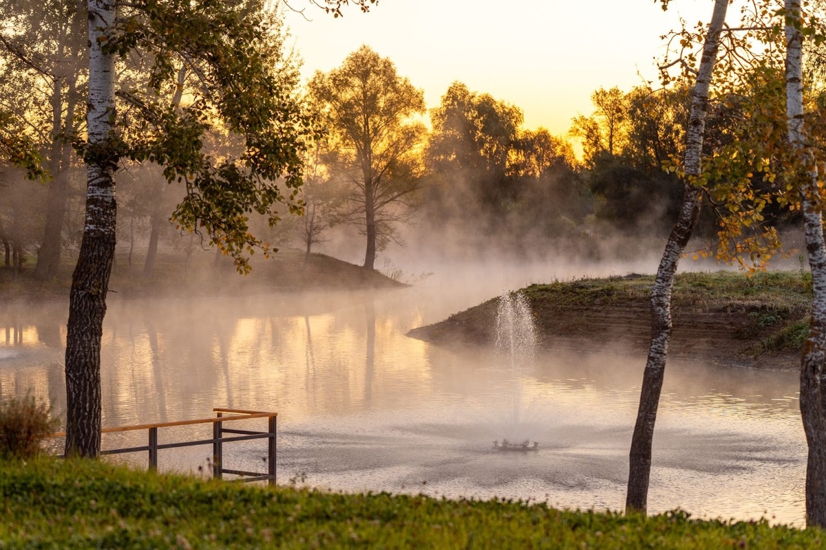 Природа в поселках АССЕТ