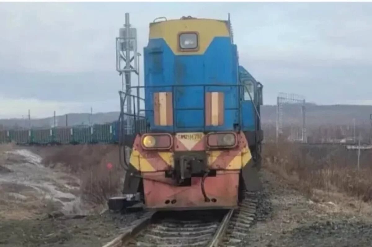    В Хабаровском крае локомотив столкнулся с машиной на переезде