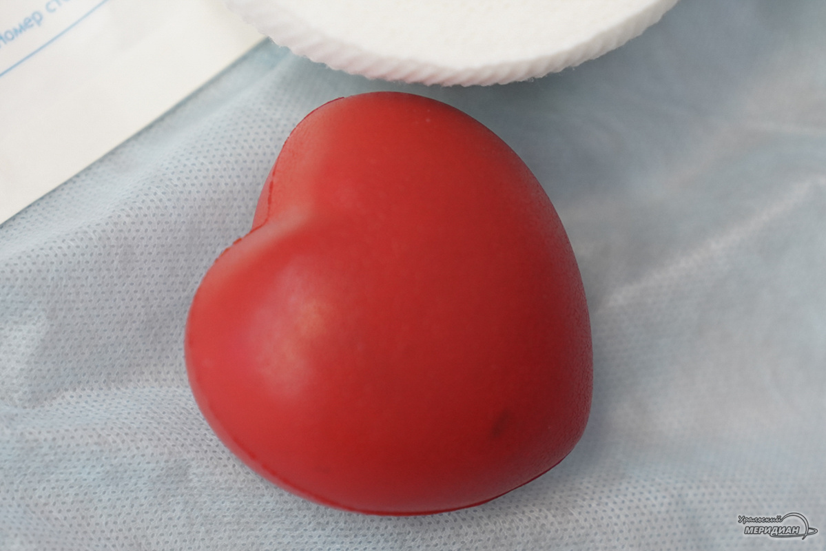    Фото: Лидия Аникина © ИА «Уральский меридиан»