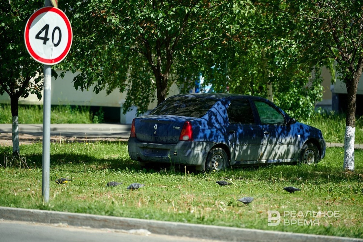   Динар Фатыхов / realnoevremya.ru