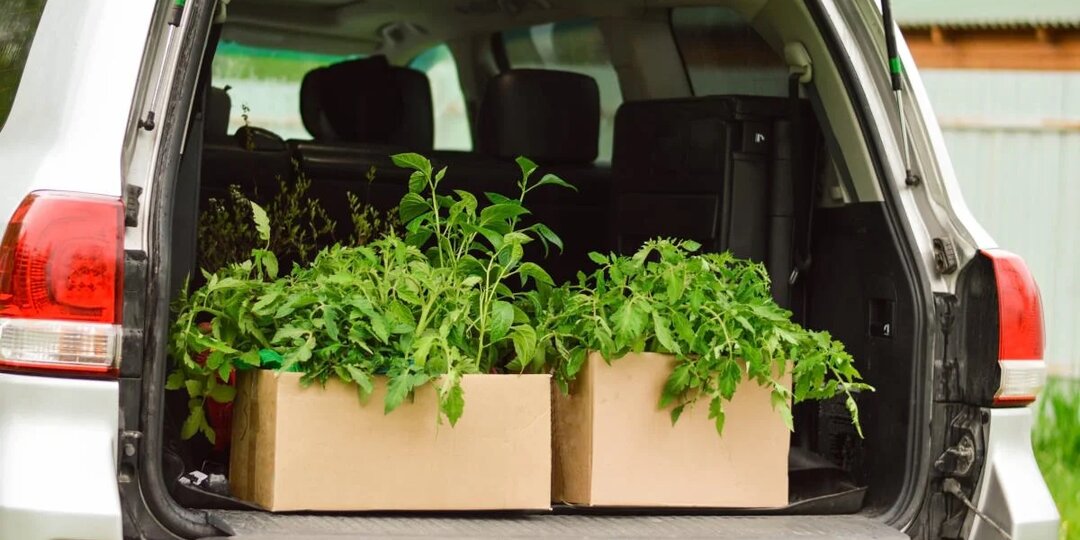 Ваш идеальный автомобиль для дачных поездок? Он существует!