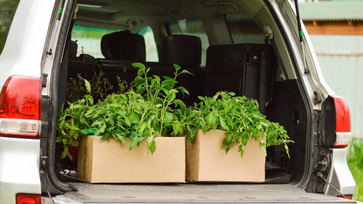 Источник: ©Shutterstock/Fotodom