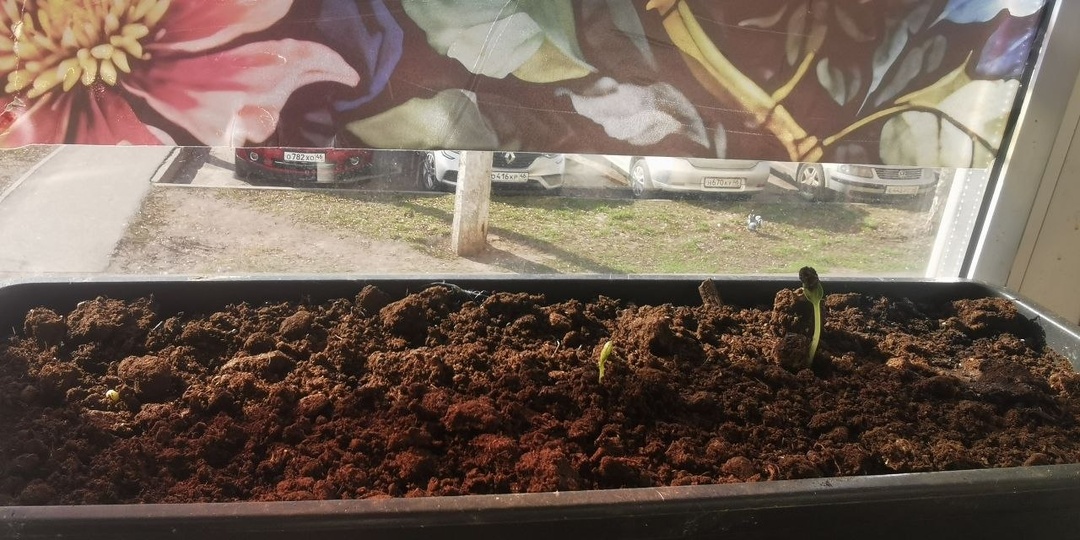 Весна наступила по-настоящему! 🌷💃