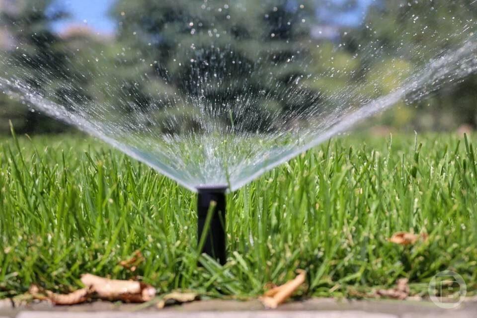    Фото: Дмитрий Рогулин / "Городские вести"