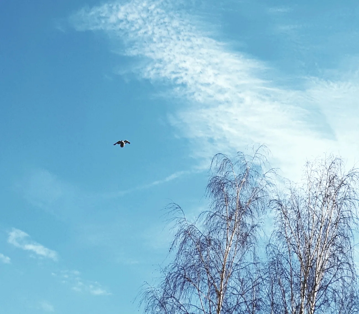 Фото автора статьи 31.03.2026г.