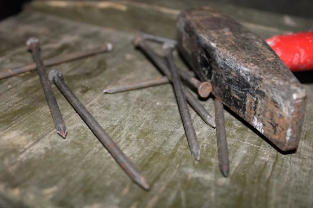    Саратовские врачи спасли случайно проглотившую гвоздь школьницу