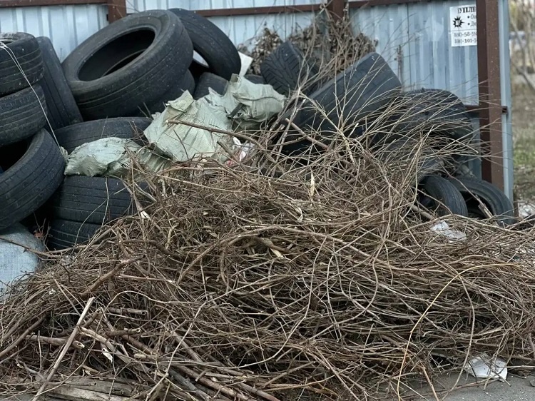    Фото ТГ-канала регоператора Ростовской области "ЭкоЦентр" Редактор