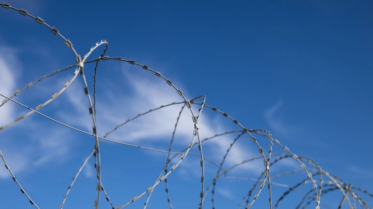    Фото: Юлия Чудинова / «Ямал-Медиа»