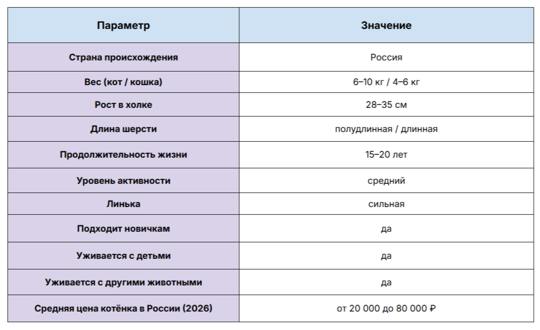 Цены актуальны на начало 2026 года и могут отличаться в зависимости от региона.