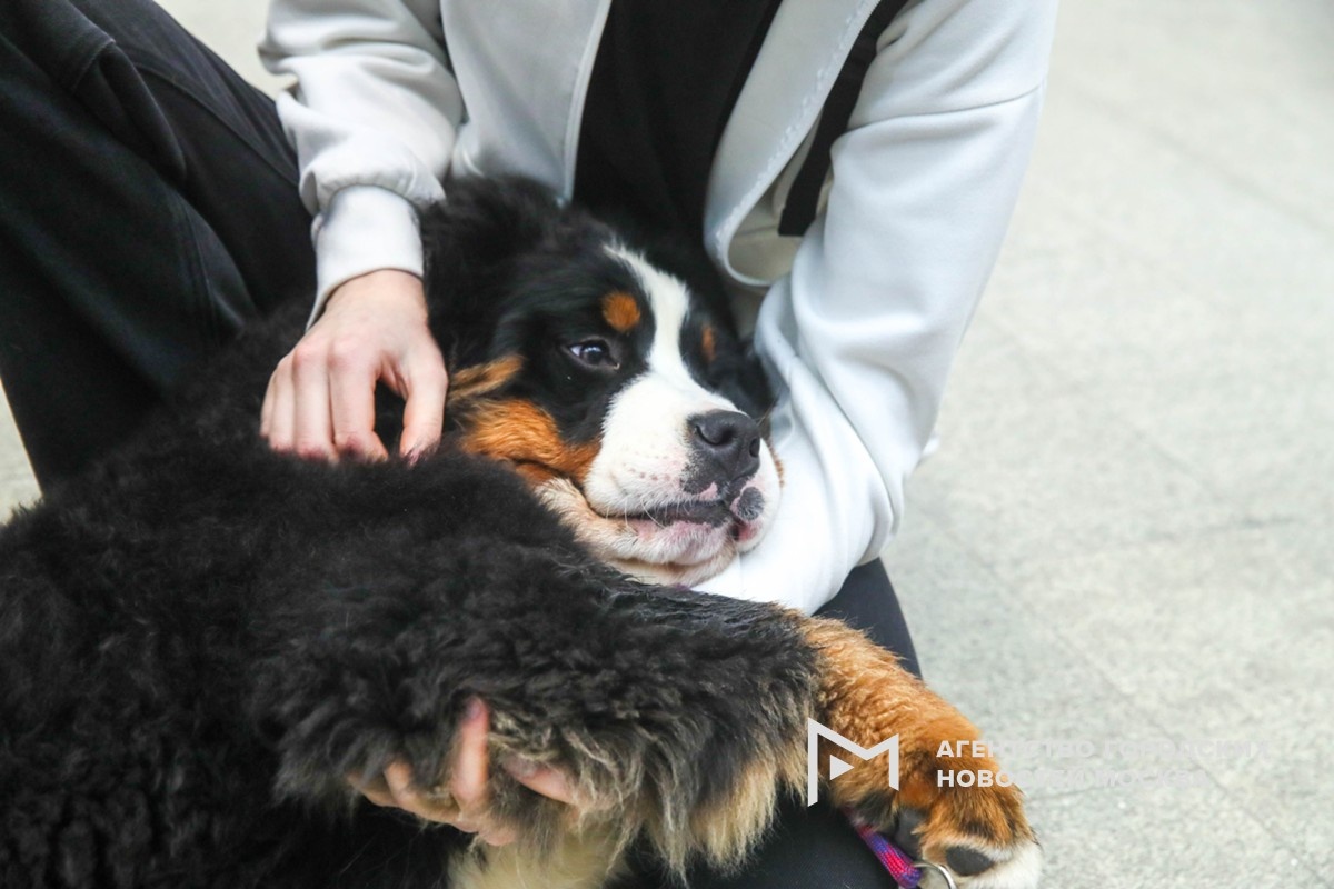 Фотограф: Василий Кузьмичёнок