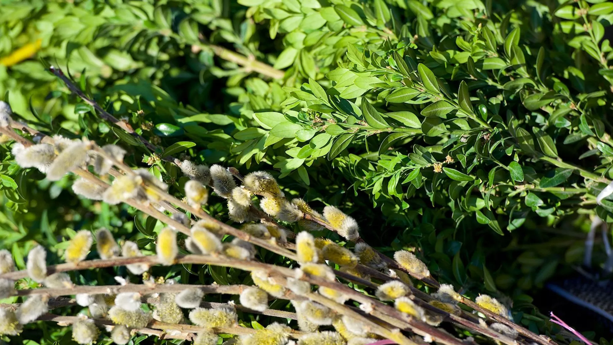 © Sputnik / Alexander Imedashvili