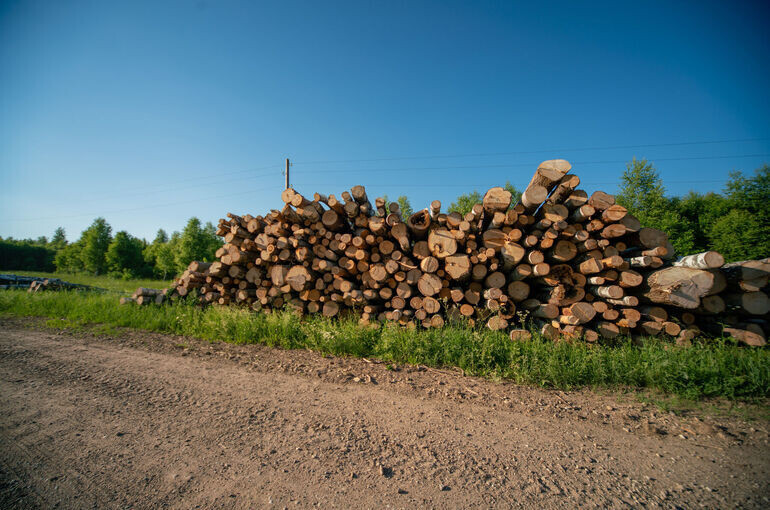   Тимур Ханов/«Парламентская газета»