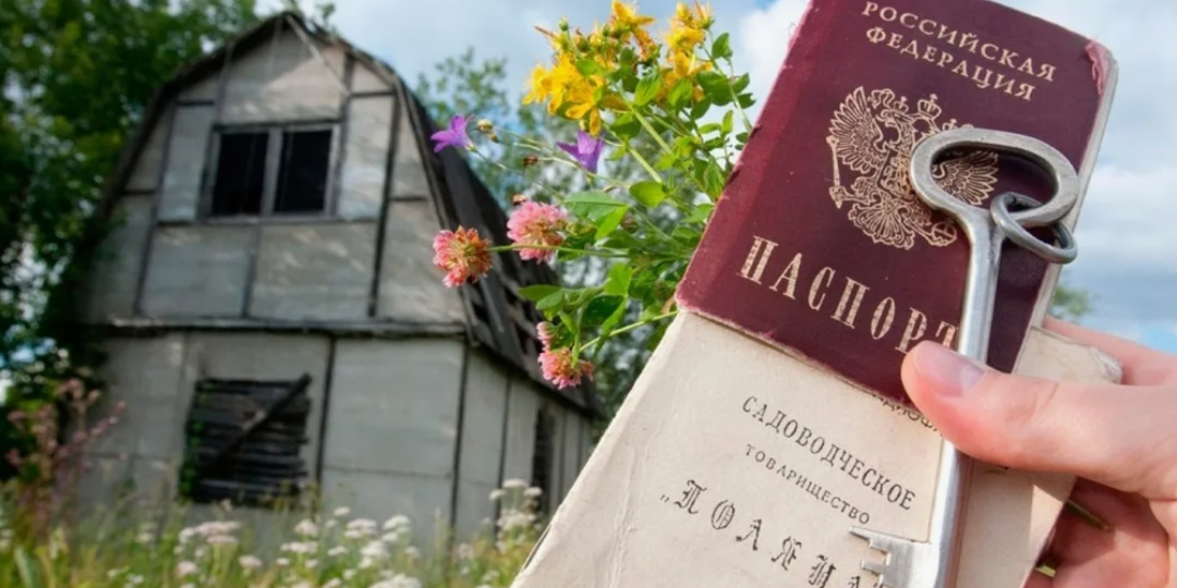 Дача с нуля: с чего начать, если вы только что купили участок