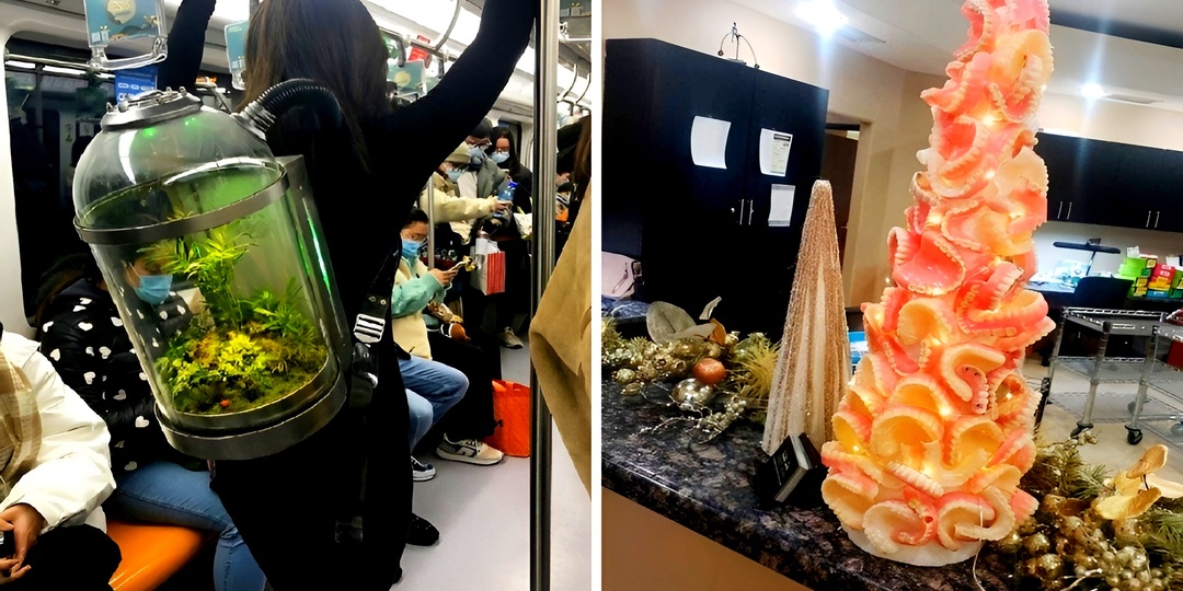 18 абсурдных фото, после которых вы перестанете удивляться чему-либо в жизни