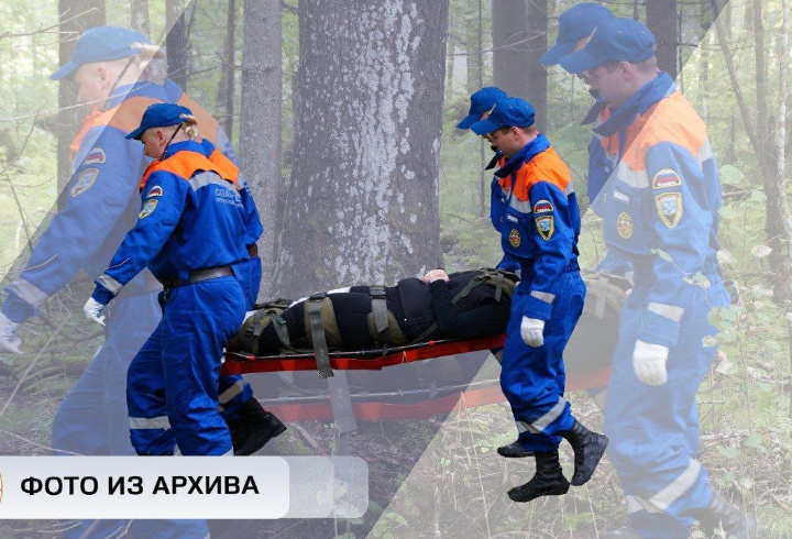 Спасатели нашли и вывели из леса потерявшегося человека