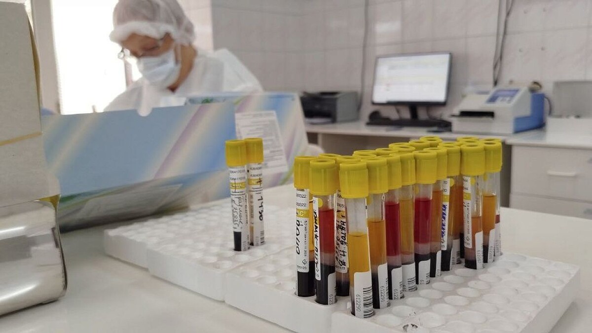    Фото: телеканал «Краснодар»