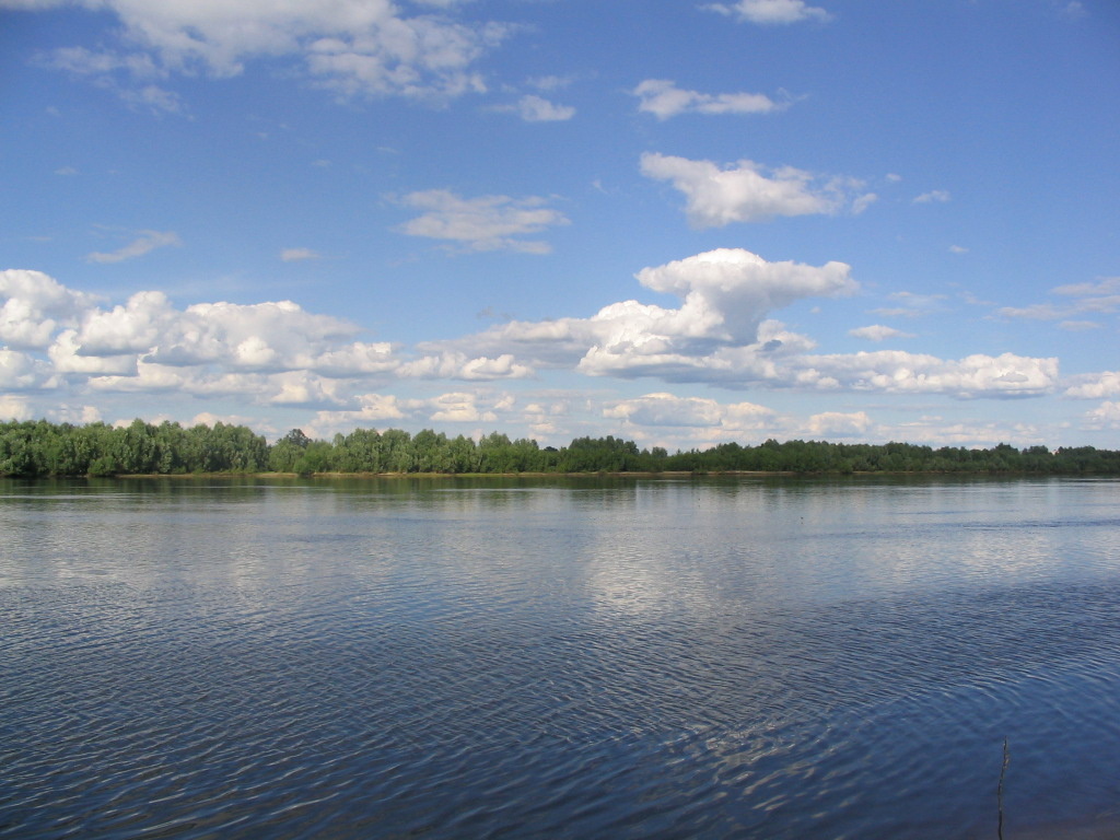 Река Припять около Мозыря