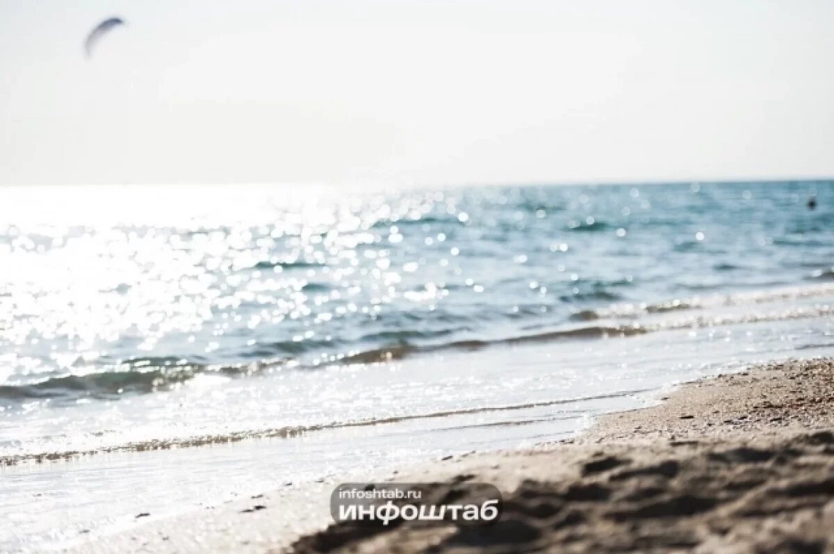    Астраханские ученые наладили сотрудничество с партнером из Казахстана