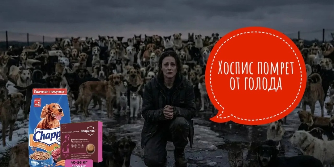 Внимание! Чрезвычайно сложная и патовая ситуация в хосписе!