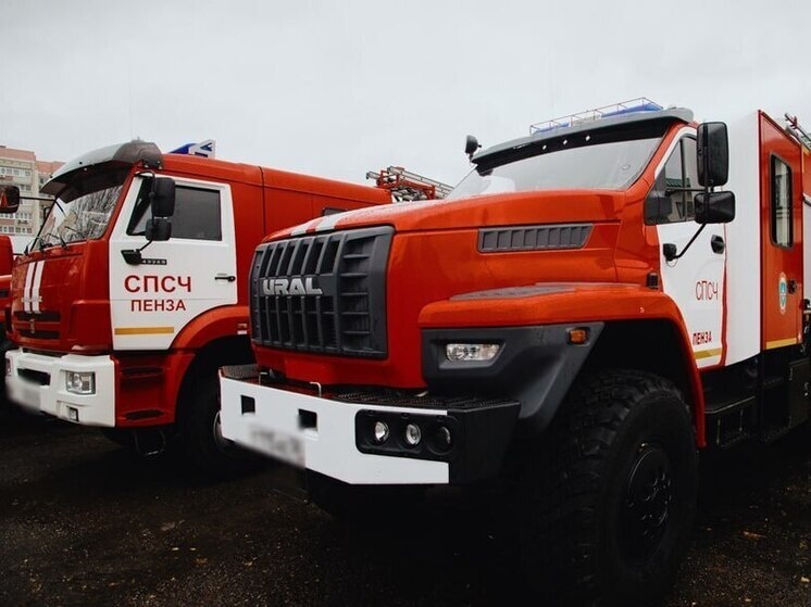     Фото: МК в Пензе