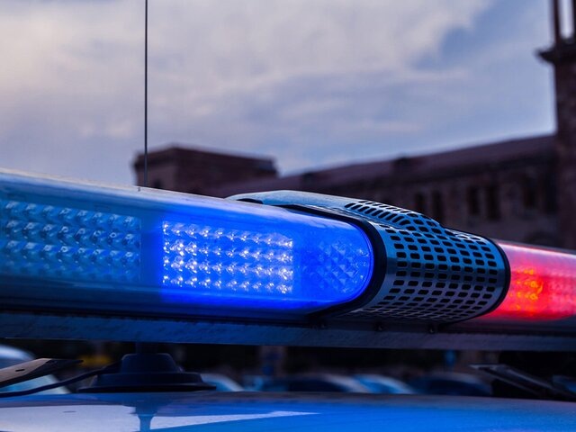    Фото: 123RF.com/danielt1994