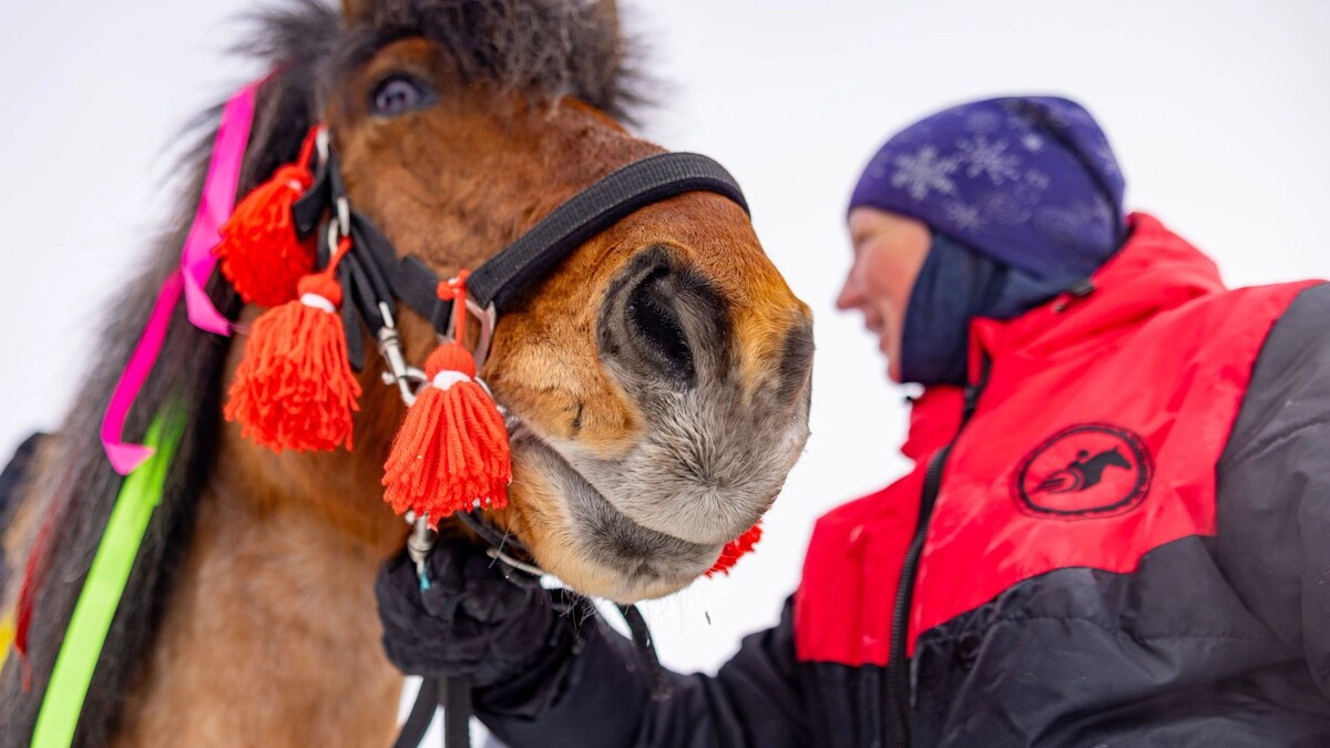    Фото: Федор Воронов/«Ямал-Медиа»